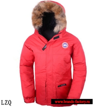 Canada Goose