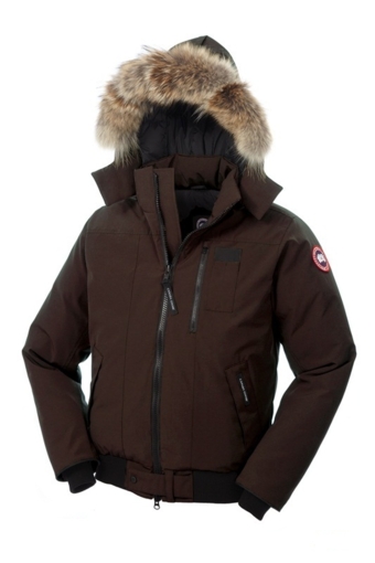 Canada Goose