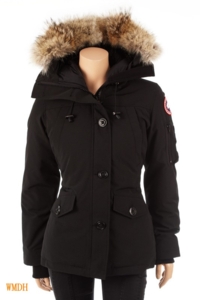 Canada Goose
