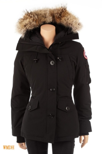 Canada Goose