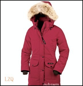 Canada Goose
