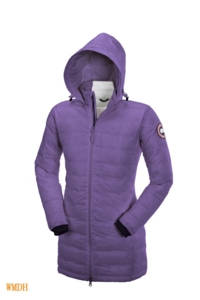 Canada Goose